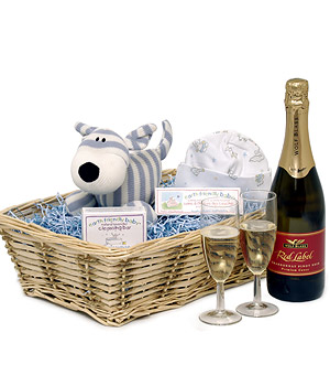 Unbranded Gift Hamper - Welcome Baby Boy Hamper
