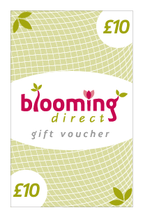 Unbranded Gift Voucher anduacute;10