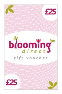 Unbranded Gift Voucher anduacute;25