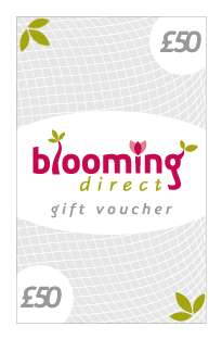 Unbranded Gift Voucher anduacute;50