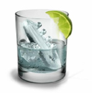 Unbranded Gin and Titonic Ice Cube Tray