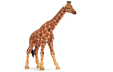 Unbranded Giraffe Female