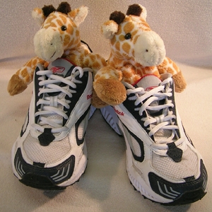 Unbranded Giraffe Shoe Freshener