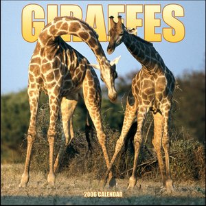 Giraffes 2006 calendar