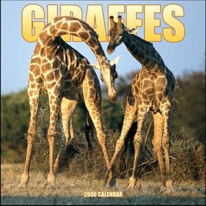 Giraffes Calendar
