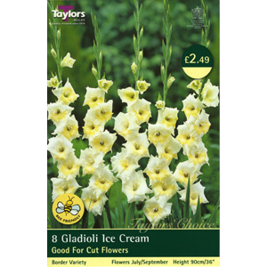 Unbranded Gladioli Ice Cream Bulbs
