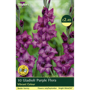 Unbranded Gladioli Purple Flora Bulbs