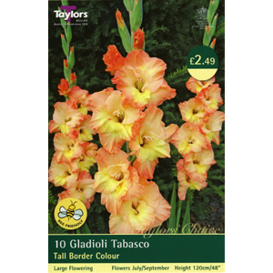 Unbranded Gladioli Tabasco Bulbs