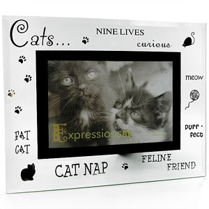 Unbranded Glass Cats 4 x 6 Photo Frame