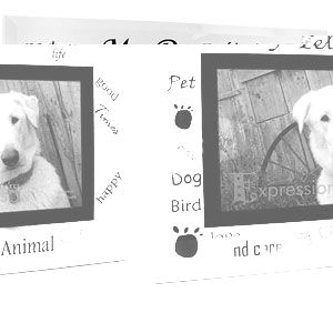 Unbranded Glass My Pet 4 x 6 Photo Frame