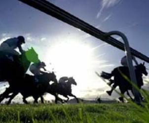 Unbranded Glorious Goodwood