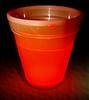 Unbranded Glow Cups: As Seen