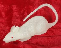Glow in the Dark Rat