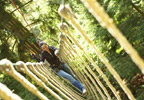 Go Ape! 2 for 1 Offer