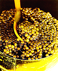 Unbranded Golden Almas Caviar