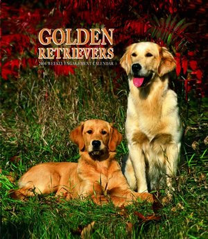 Golden Retriever Weekly Engagement Calendar