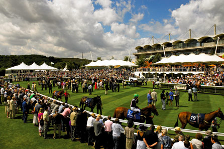 Unbranded Goodwood Racecourse Gordon Enclosure Hospitality