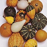 Unbranded Gourds Small-Fruited Mixed Seeds