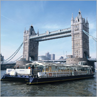 Unbranded Gourmet Lunch Cruise and London Eye Trip for Two