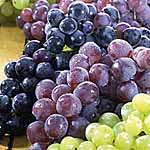 Unbranded Grape Vine - RED