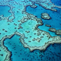Unbranded Great Barrier Reef Experience from Airlie Beach