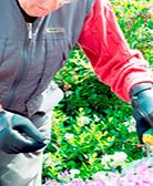 Unbranded Gripeeze Gloves - Left-handed Small