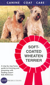 Grooming Soft-Coated Wheaten Terrier