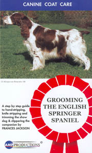 Grooming The Eng. Springer Spaniel