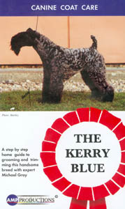 Grooming The Kerry Blue
