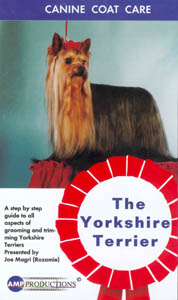 Grooming The Yorkshire Terrier