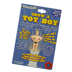 Grow A Toy Boy