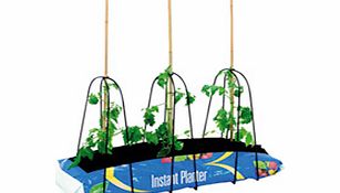 Support canes in grow bags with these innovative frames. Made of rust-proof coated steel they are quick and easy to use and have a unique cantilever action which grips canes of all diameters really securely to support even the heaviest crops! 50cm (2