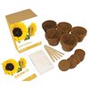 Unbranded Grow it - Sunflowers