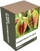 Unbranded Grow It Carnivorous Plants: As Seen