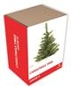 Unbranded Grow It Christmas Tree: As Seen