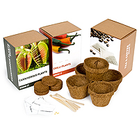 Grow It (Salad Leaves)