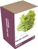 Unbranded Grow It Salad Leaves: As Seen