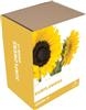 Unbranded Grow It Sunflowers: As Seen
