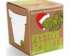 This kit contains all you need to help you cultivate your very own Brussel sprouts for your Christmas dinner this year. The satisfaction of presenting your home grown sprouts will surely make Christmas dinner that little bit more special. Location: