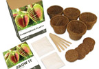 Grow Your Own Carnivorous Plants