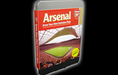 Unbranded Grow Your Own Emirates Gift Box