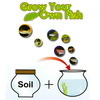 Unbranded Grow Your Own Fish