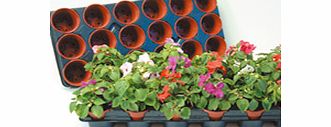 Unbranded Growing on Trays and Pots (15 x medium)