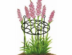 Unbranded Growthroughs - Pack of 2 45cm x 30cm