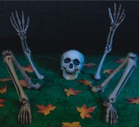 Unbranded Gruesome Horror - Ground Breaker Skeleton