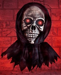 Unbranded Gruesome Horror - Hanging Skull (BO L/S)