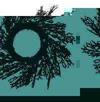 Unbranded Gruesome Horror - Indoor Black Garland LED Wreath