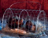 Unbranded Gruesome Horror - Two Caged Rats with Bones (25cm)