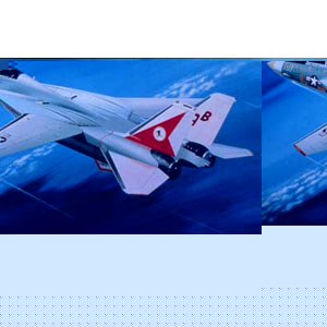 Unbranded Grumman F-14A Tomcat plastic kit 1:144