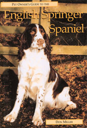 Guide to the English Springer paniel